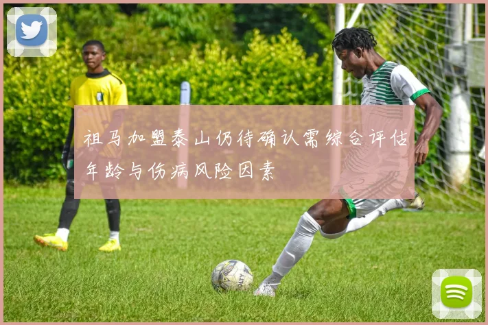 祖马加盟泰山仍待确认需综合评估年龄与伤病风险因素